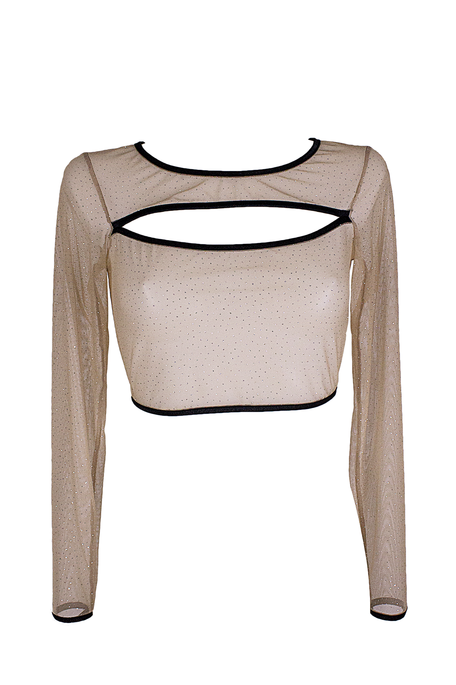 Slit front Crop Top Long sleeve Mesh Sparkle T-Shirt / Nude Lingerie Top - EXES LINGERIE