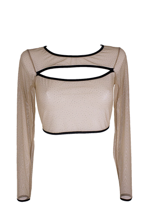 Slit front Crop Top Long sleeve Mesh Sparkle T-Shirt / Nude Lingerie Top - EXES LINGERIE