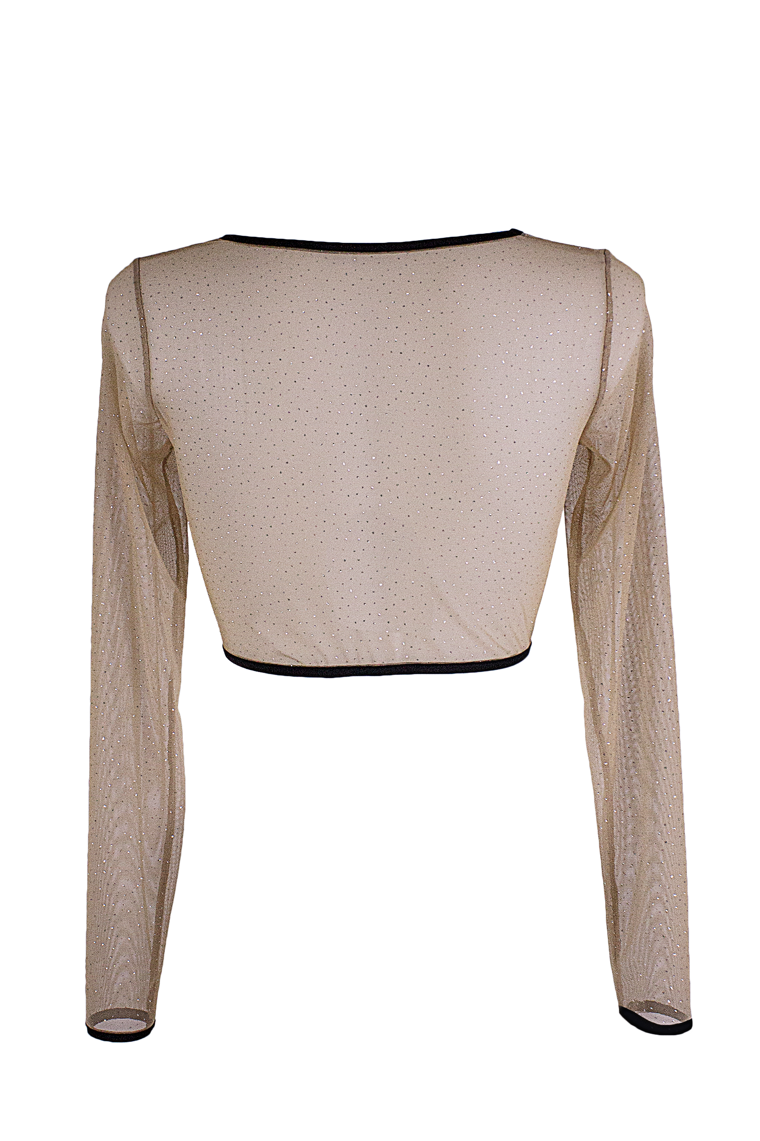 Slit front Crop Top Long sleeve Mesh Sparkle T-Shirt / Nude Lingerie Top - EXES LINGERIE