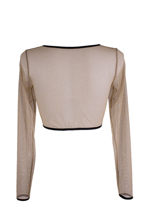 Slit front Crop Top Long sleeve Mesh Sparkle T-Shirt / Nude Lingerie Top