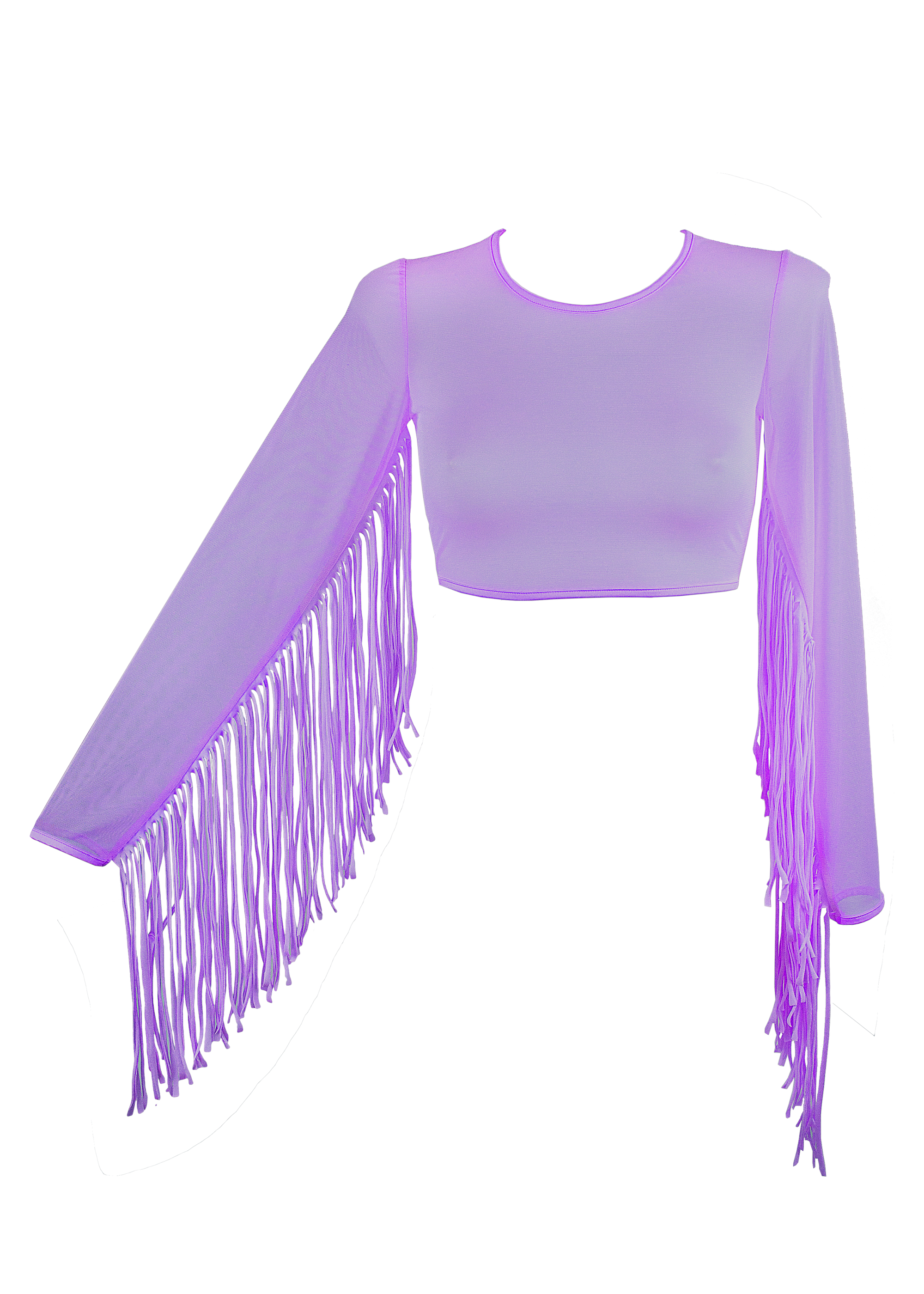 Crop Top Fringe Long Sleeve Mesh T-Shirt / Lilac Rave Top - EXES LINGERIE